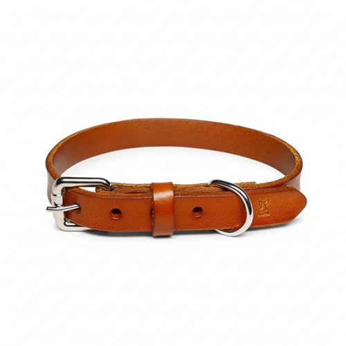 XanYu Premium Genuine Leather Dog Collar – Adjustable Heavy Duty Pet Collar with Sturdy Metal Buckle, Soft & Classic for Puppy and Small, Medium, Large Dogs (Tan)