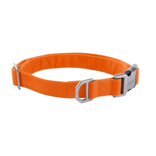 Carhartt Field Dog Collar, Fully Adjustable, Durable 600-Denier Fabric W/Reflective Wordmark for Visibility, Hunter Orange, Medium - color: Hunter Orange, size: Medium