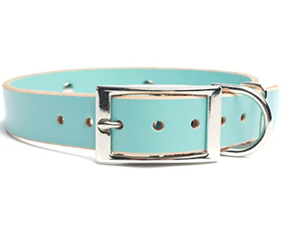Handmade Studded Bridle Leather Dog Collar, Silver Tone Hardware and Stainless Steel Nameplate (Robin's Egg Blue) - color: Robin's Egg Blue
