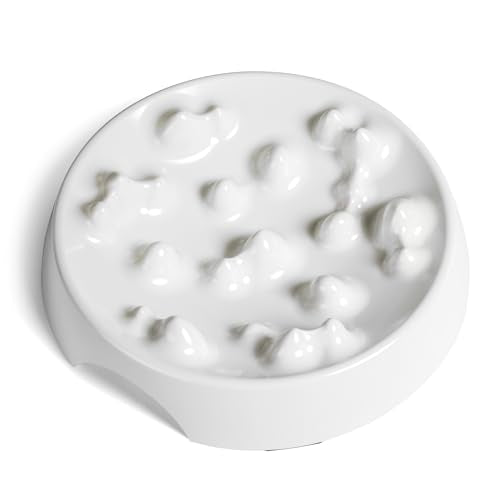CatGuru Cat Bowls, Whisker Friendly Food Bowl for Indoor Cats, Reliefs Whisker Fatigue, Wide Kitten Dish, Non Slip Pet Dishes, Shallow Pet Plates (Marshmallow, (Pack of 2)) - color: Marshmallow, size: Slow Feeder