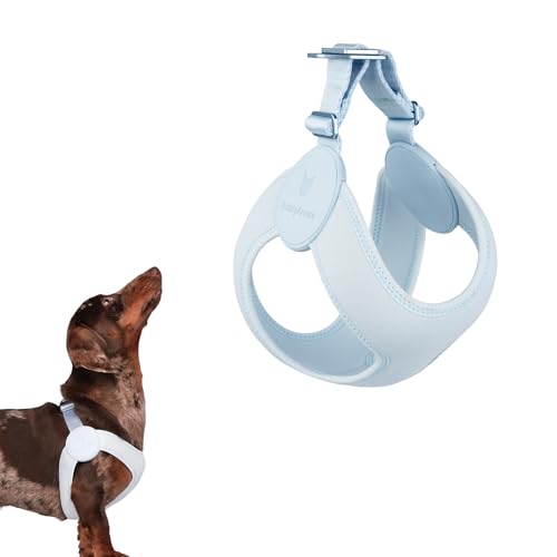 Ultra Comfortable Dog Harness Adjustable Soft Dog Vest, Alloy Buckle Closure Lightweight Stretchy Puppy Harness Step in for Small Sized Dogs Walking Training (Sierra Blue, S) - color: Sierra Blue, size: L / S 19.3-21.9"