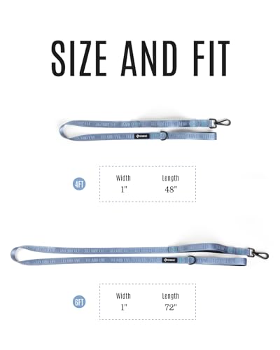 Classic Dog Leash - 6FT, Dual Padded Handles, 360° Swivel Hook, Heavy Duty 210D Nylon - No-Pull Design with Traffic Control Handle - for Small/Medium/Large Dogs, Sky Blue - color: Sky Blue, size: 6FT