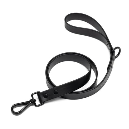 Mojo Pet Supply Hydro Waterproof Dog Leash | Waterproof and Odor Free | Heavy Duty Dog Leash | 4 Feet | Easy to Clean | Black