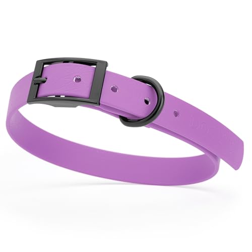 Dogline Biothane Waterproof Dog Collar Strong Coated Nylon Webbing with Black Hardware Odor- Proof for Easy Care Easy to Clean High Performance Fits Small Medium or Large Dogs, Amethyst Purple