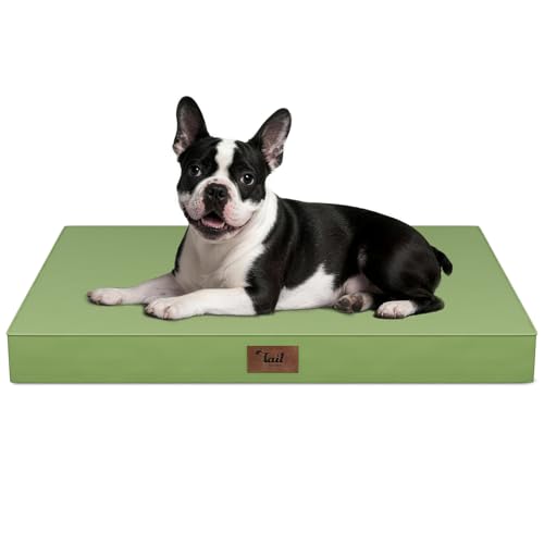 Outdoor Dog Bed for Small Dogs, Waterproof Dog Crate Bed for Medium Dogs Cats, Orthopedic Egg Crate Foam Pet Bed with Washable Removable Oxford Cover, Light Green - color: Light Green, size: 29.0"L x 18.0"W x 3.0"Th