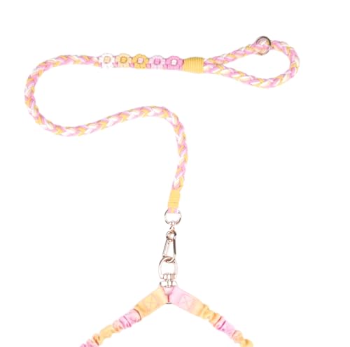 Dual Dog Leash,Double Dog 360 Swivel No Tangle Walking Leash,Comfortable Shock Absorbing Reflective Bungee for Two Dogs (Sunset Bloom) - color: Sunset Bloom