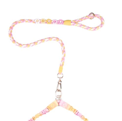 Dual Dog Leash,Double Dog 360 Swivel No Tangle Walking Leash,Comfortable Shock Absorbing Reflective Bungee for Two Dogs (Sunset Bloom) - color: Sunset Bloom