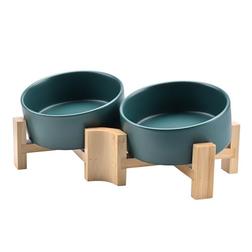 SPUNKYJUNKY 15° Slanted Ceramic Dog Bowl with Elevated Bamboo Stand - Tilted Pet Feeder for French Bulldog Pugs No Slip Anti-Vomiting for Cat Small Dog Flat Face Pets 13.5 OZ (1.7 Cups, Green × 2) - color: Green, size: 1.7 CUPS × 2