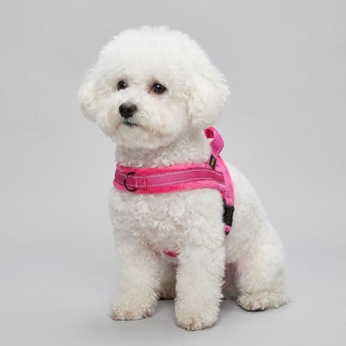Didog Soft Flannel Padded Dog Vest Harness, No Pull/Quick Fit Reflective Dog Strap Harness, Easy for Training Walking (XS:Chest 15-18", Hot Pink) - color: Hot Pink, size: XS:chest 15-18"