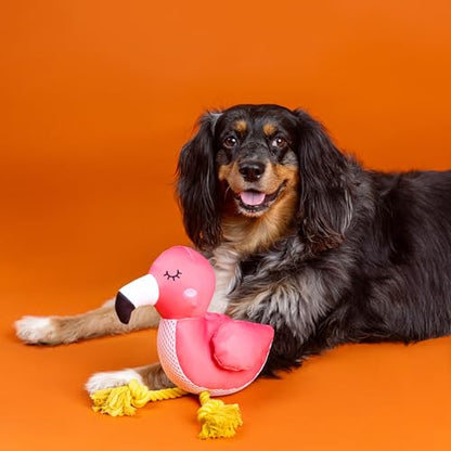 Fringe Studio Floating Dog Toy with Rope BE FLAMAZING, Pet Shop Collection (640028) - color: Be Flamazing