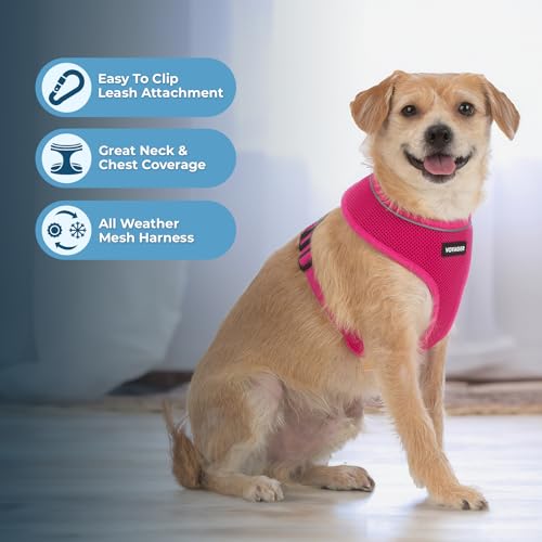 Voyager Aerolite Over The Head Dog Harness, No Pull Breathable Air Mesh Vest, Quick Dry with Reflective Stitching, Adjustable Escape Resistant Harness for Small Medium Large Dogs - Fuchsia, Small - color: Fuchsia, size: S