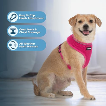 Voyager Aerolite Over The Head Dog Harness, No Pull Breathable Air Mesh Vest, Quick Dry with Reflective Stitching, Adjustable Escape Resistant Harness for Small Medium Large Dogs - Fuchsia, Small - color: Fuchsia, size: S