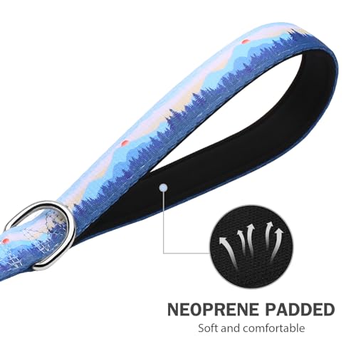 Hikiko Double Handle Dog Leash 6 Foot Strong Nylon Padded Traffic Handles for Walking Training (Blue Hill) - color: Blue Hill, size: 1 in x 6 ft