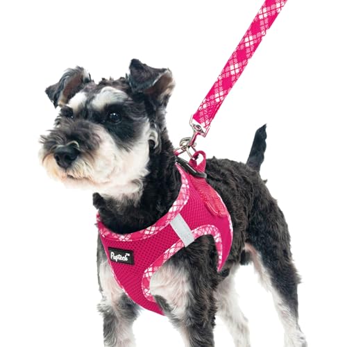 PUPTECK Dog Harness and Leash Set for Small Medium Dogs No Pull Step-in Soft Mesh Puppy Cat Vest Harnesses Reflective at Night, Fuchsia, L - color: #1 Fuchisa(Basic Mesh), size: L(CHEST 18"-20", 16.5-22 lbs)