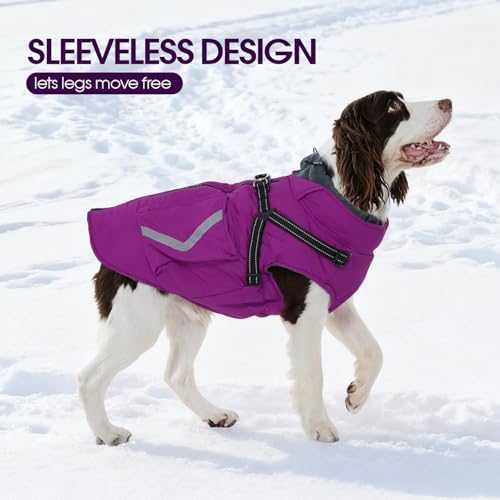 FUAMEY Reflective Dog Winter Coat, Fleece Lined Jacket for Large Dogs Back Zipper, Turtleneck Cozy Doggy Vest Thermal Clothes with Harness, Cold Weather Snow Outfits, Great Dane (Violet, 3XL) - color: Bright Violet, size: XXX-Large