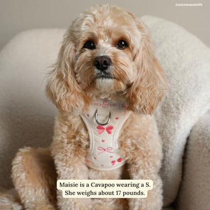 Lucy & Co. Ever So Sweet No-Pull Dog Harness, Adjustable Front Clip Harness with Comfort Padding, Small - color: Ever So Sweet, size: Small