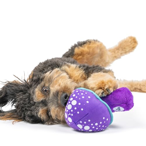 Huxley & Kent for Dogs | Mellow Mushroom (Small) | Funny Dog Toy | Power Plush Dog Toy with Squeaker | Dog Gift | Fun, Durable | H&K Squeaky Dog Toy, Purple, Blue - size: Small, style: Mellow Mushroom