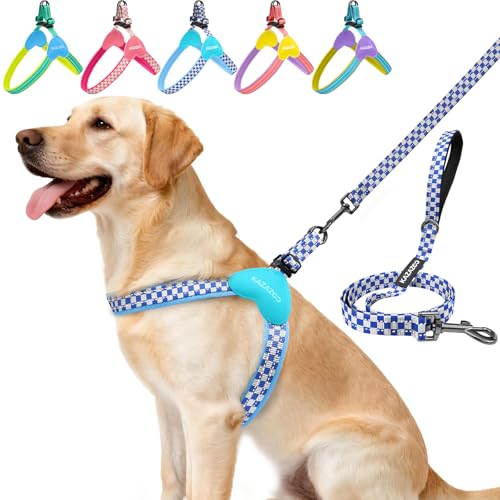 Kazazoo No Pull Small Dog Harness and Leash Set, Adjustable Puppy Soft Vest Harness with Breathable Mesh Padded, Reflective Lightweight Harness with Buckle for Small Medium Dogs, Blue Plaid M - color: Blue Plaid, size: M