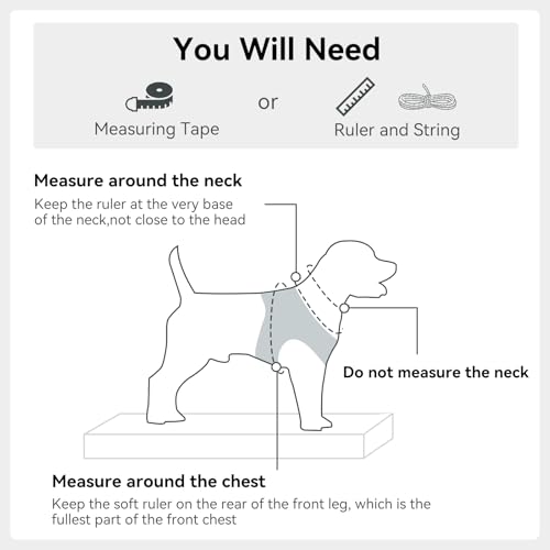 Joytale Small Dog Harness, Breathable Mesh Step-in Vest, Reflective Soft Padded Harnesses for Cats and Puppies Dogs, Gray, XXXS - color: Gray, size: XXXS--Chest: 10.5-12''