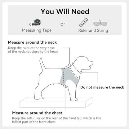 Joytale Small Dog Harness, Breathable Mesh Step-in Vest, Reflective Soft Padded Harnesses for Cats and Puppies Dogs, Gray, XXXS - color: Gray, size: XXXS--Chest: 10.5-12''
