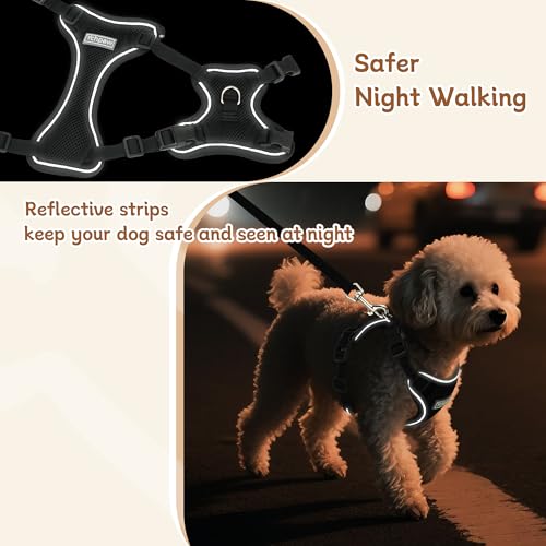 Small Dog Harness and Leash Set, Reflective Soft Breathable Mesh Vest, 3 Buckles, Adjustable Neck and Chest,Step in Dog Harness for Walking, Running, Training, Black, S - color: Black, size: Small