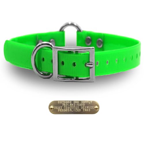 Outdoor Dog Supply 1" Heavy Duty Waterproof D-Ring & Center O-Ring Dog Collar for Medium & Large Dogs | Custom 3/4" Brass Nameplate (Lime Green, 21") - color: Lime Green, size: 21" Long