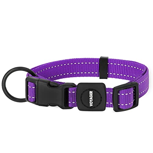 Best Pet Supplies Voyager Reflective Dog Leash or Collar with Neoprene Handle, for Small, Medium, and Large Breed Puppies, Cute and Heavy Duty for Walking, Running and Training - Purple, S - color: Collar (Purple), size: S (10" - 16")