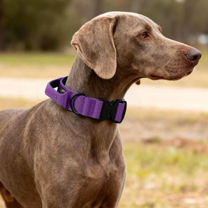 Tactical Thick Dog Collar, Adjustable Training Nylon Dog Collar, Heavy Duty Metal Buckle & Control Handle for Small Medium Large Dogs (L, Purple) - color: Purple, size: L