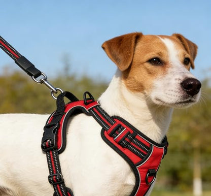 Red No-Pull Dog Harness with 2 Leash Clips，Soft Padded Vest for Small Dog, Adjustable Reflective Dog Vest Easy to Put on and Take Off,(Neck: 13"~17", Chest: 17"~21",Red Small) - color: Red, size: Small