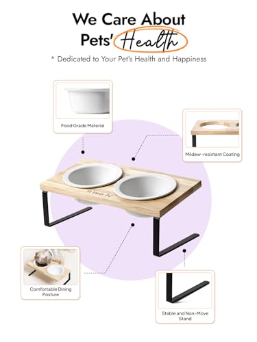 Elevated Dog Bowls, Raised Dog Bowl Stand with Two 5.1 inch Ceramic Bowls, Non-Slip Cat Food and Water Dish for Small and Medium Breed, White - color: White, size: 5.1inch