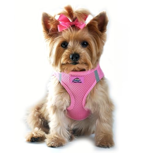 American River Ultra Choke-Free Mesh Dog Harness - Candy Pink XS - color: Candy Pink, size: X-Small