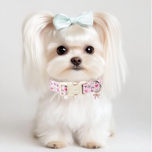 Pink Dog Collar Girl Dog Collars for Puppy Small Dogs - Lightweight Adjustable Spring Butterfly Female Dogs Everyday Collar with Quick Release Buckle XS - color: Pink Butterfly, size: XS