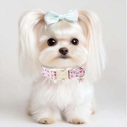 Pink Dog Collar Girl Dog Collars for Puppy Small Dogs - Lightweight Adjustable Spring Butterfly Female Dogs Everyday Collar with Quick Release Buckle XS - color: Pink Butterfly, size: XS