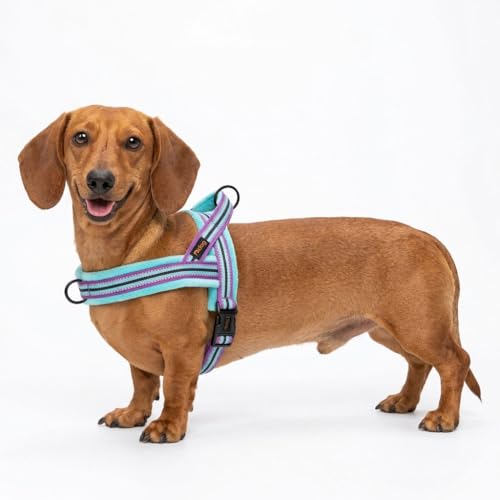 Didog Soft Flannel Padded Dog Vest Harness, No Pull/Quick Fit Reflective Dog Strap Harness, Easy for Training Walking (XS:Chest 15-18", Mixed-Blue) - color: Mixed-Blue, size: XS:chest 15-18"