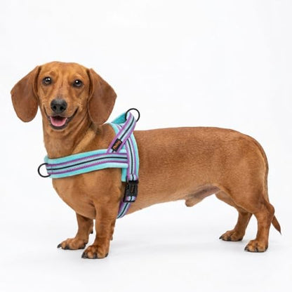 Didog Soft Flannel Padded Dog Vest Harness, No Pull/Quick Fit Reflective Dog Strap Harness, Easy for Training Walking (XS:Chest 15-18", Mixed-Blue) - color: Mixed-Blue, size: XS:chest 15-18"