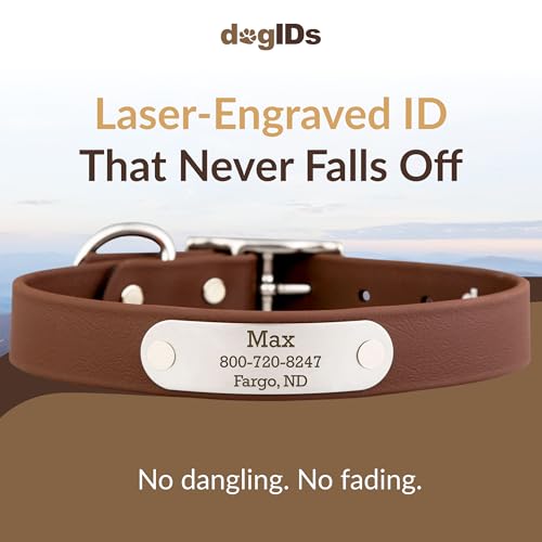 dogIDs Personalized Dog Collar – Custom Waterproof Soft-Grip Biothane with Laser-Engraved Nameplate, Durable & Odor-Resistant, USA Made | Brown, 1 in x 16 in (Fits Necks Size 14-18 in) - color: Brown, size: 1 in x 16 in (Fits Necks Size 14-18 in)