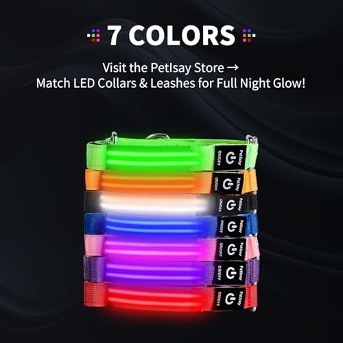 Night Walking LED Dog Leash - 6FT Reflective & Waterproof Light Up Safety Leashes for Dogs - USB Rechargeable, Green - color: Green(Fiber optic version)