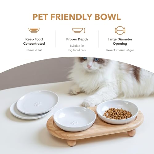 Havniva Cat Bowls Elevated 5.6” Ceramic Cat Bowl with Stand Whisker Friendly Cat Dishes, Cat Food & Water Bowl Set with Two Heights Options, Raised Cat Food Plates for Kitten Anti-Slip Pet Bowls - color: 2 Bowls+2 Shallow Dishes+Stand- White