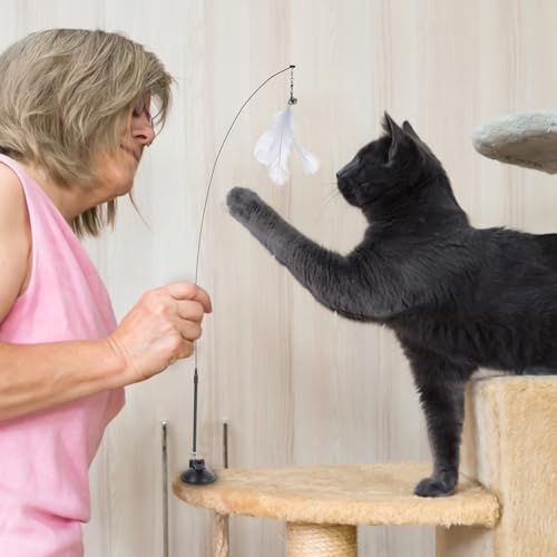 Outanaya Interactive Cat Teasing Stick with Suction Cup Base Feather Cat Wand with Bell 10pcs Set with 10 Replacement Heads