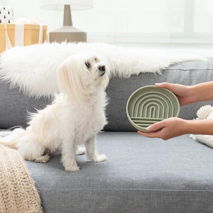 Should We Go? Slow Feeder for Dogs & Cats, The Slowdown Bowl Silicone Slow Eating Mealtime Solution with Modern Lick Mat Design, Reduces Gulping, Fits 1 Cup, 6” Across x 1.25” Tall, Small-Sage - color: Sage - Rainbow Design, size: Small (6” Across x 1.25”