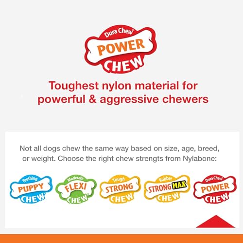Nylabone 2 Pack of Power Chew Extreme Chewing Braided Bully Stick Alternative Dog Toys, Giant, Made in The USA2