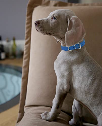 Pet Collars - Leather Small Dog Collars - 12 Color Adjustable ID Collar Identification Leather for Puppy Medium Large Breed Dogs - Neck 14~18 Inches - size: L(Neck:14''~18'')