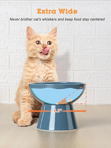 LoeJan Elevated Cat Food and Water Bowls Set, Extra Wide and Raised Ceramic Feeder, Anti-Vomit Whisker-Free Pressure Feeding Bowl for Kittens Adult Small Dogs (Deep Blue) - color: Deep Blue, size: Single (Water Bowl)