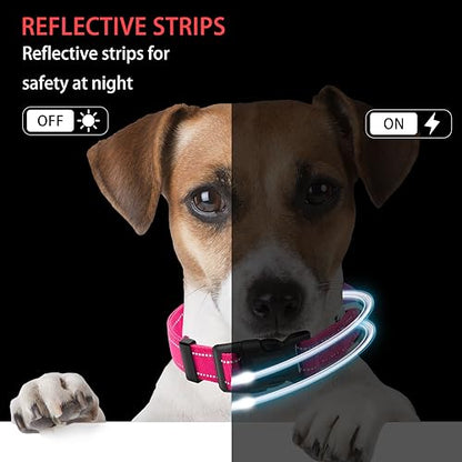 Reflective Dog Collar with Safety Locking Buckle, Adjustable Soft Breathable Nylon Collars for Small, Medium and Large Dogs(Collar+Leash XS Width 5/8" Hotpink) - color: Hotpink, size: X-Small (Width 5/8")