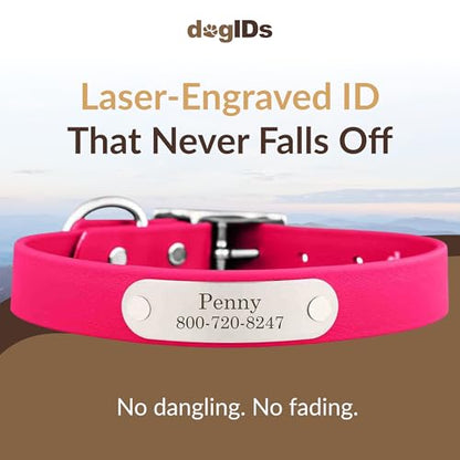 dogIDs Personalized Dog Collar – Custom Waterproof Soft-Grip Biothane with Laser-Engraved Nameplate, Durable & Odor-Resistant, USA Made | Magenta, 1 in x 16 in (Fits Necks Size 14-18 in) - color: Magenta, size: 1 in x 16 in (Fits Necks Size 14-18 in)