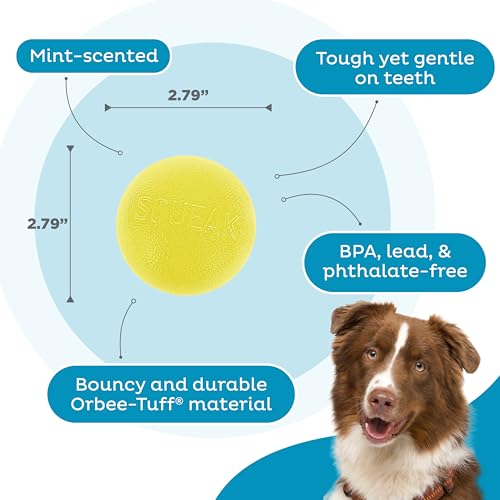 Outward Hound by Planet Dog Squeak Ball Bouncy Fetch Dog Toy, Yellow - color: Yellow Squeak Toy