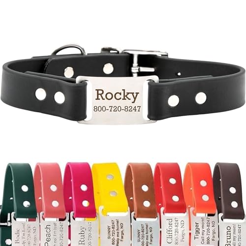 dogIDs Personalized Dog Collar – ScruffTag Custom Waterproof Biothane Dog Collar with Laser-Engraved Name, Durable & Odor-Resistant – USA Made | Black, 1 in x 16 in (Fits Neck Sizes 14-18 in) - color: Black, size: 1 in x 16 in (Fits Neck Sizes 14-18 in)