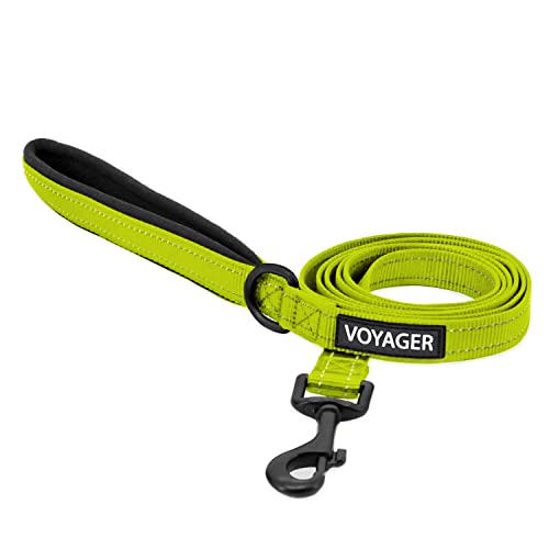 Best Pet Supplies Voyager Reflective Dog Leash or Collar with Neoprene Handle, for Small, Medium, and Large Breed Puppies, Cute and Heavy Duty for Walking, Running and Training - Lime Green (Leash), S - color: Leash (Lime Green), size: Small (5/8" x 5ft)