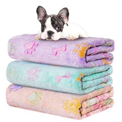 Rezutan 1 Pack 3 Dog Blankets for Small Pet Cat Super Soft Fluffy Premium Throw for Dog Kennels-Beds, Paw Print Blanket, 23x16inch,Purple/Green/Brown - color: Purple1/Green1/Brown1, size: Small,23x16Inch