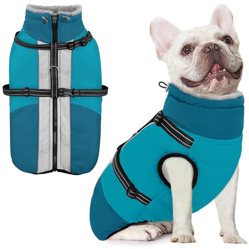 AOFITEE Dog Coat for Small Dogs, Warm Dog Winter Jacket with Harness Built in, Waterproof Small Winter Coat Dogs Reflective Cold Weather Coats for Chihuahua, Yorkshire, Turquoise XS - color: PineGreen, size: X-Small
